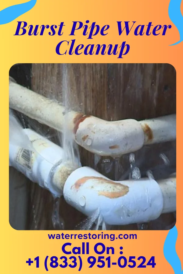 Burst Pipe Water Cleanup in Westfield, MA