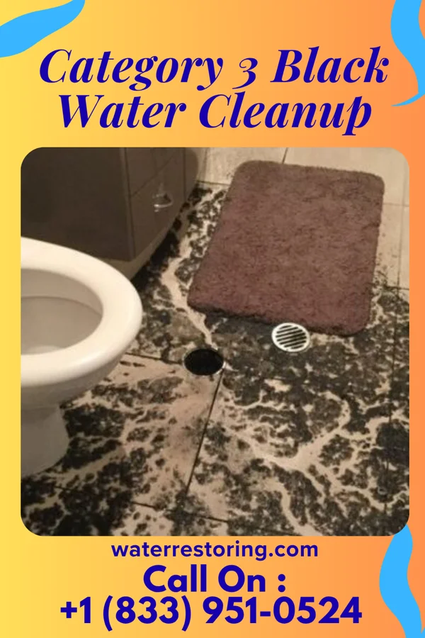 Category 3 Black Water Cleanup in Westfield, MA