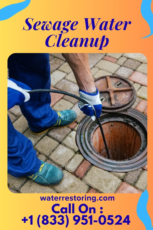 Sewage Water Cleanup in Westfield, MA