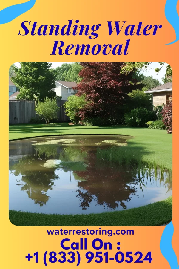 Standing Water Removal in Westfield, MA